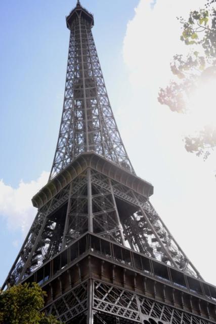 Homestay Eiffel Tower Oasis 30m From Eiffel Tower Paris