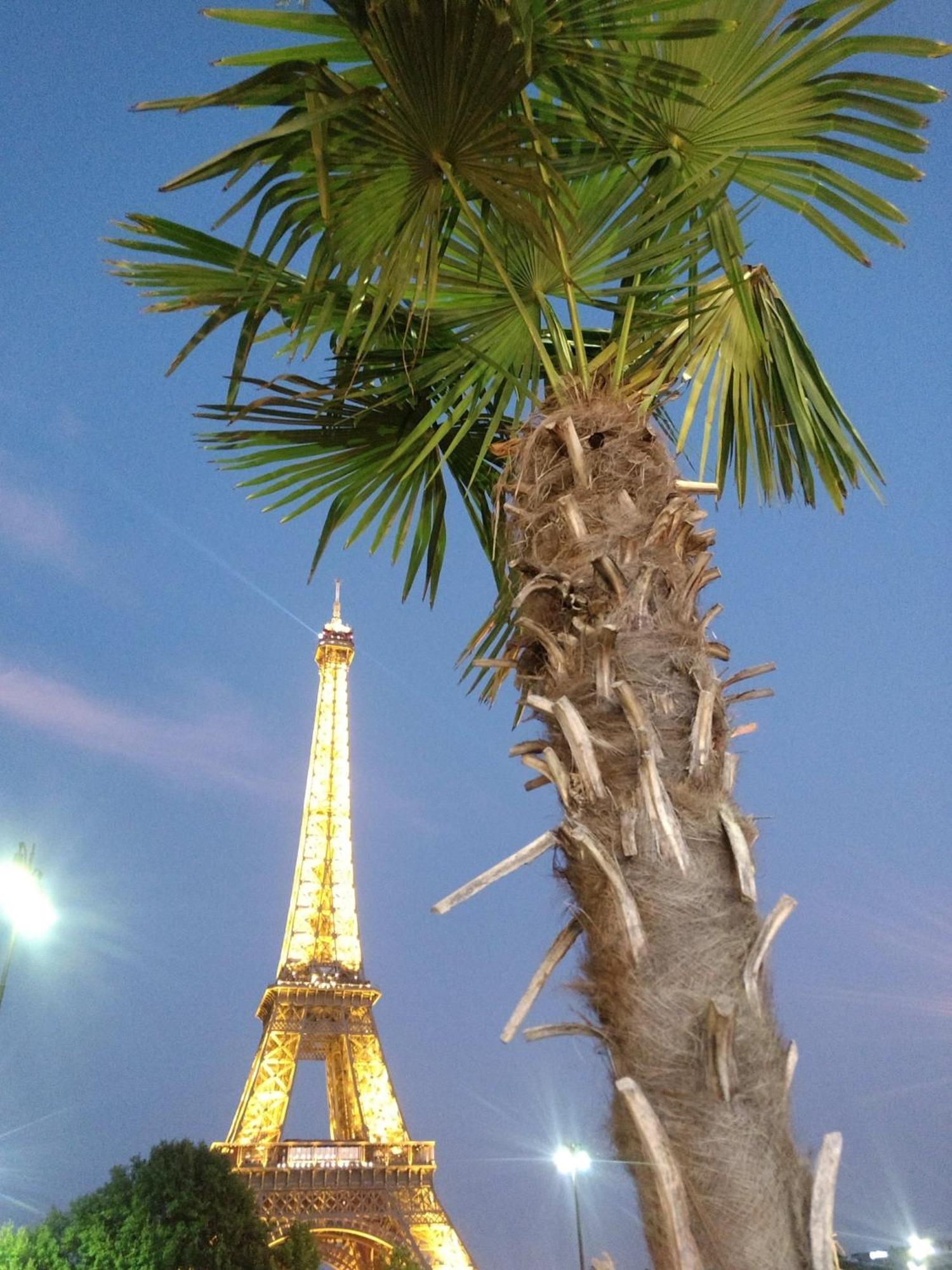 In Eiffel Tower & Champs Elysees Holiday home