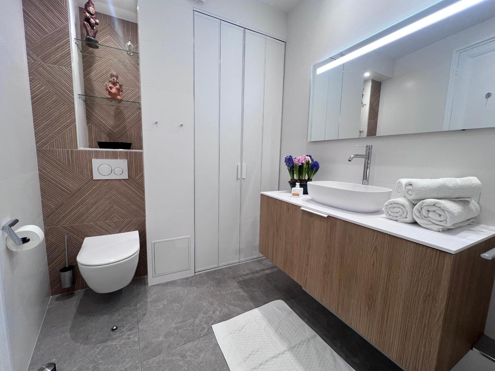 Champs Elysees Appartement
