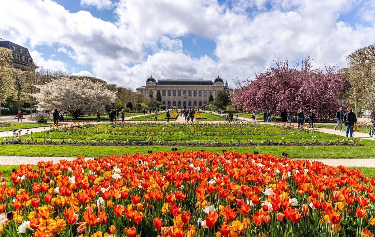 Tres Joli Renove Quartier Notre-dame Jardin Des Plantes Pantheon Pres De La Seine Apartment Paris