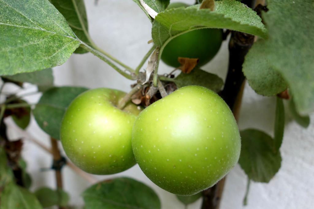 Frühstückspension La Campagne A *