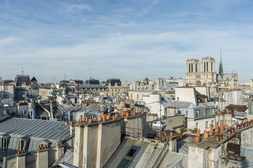 Notre Dame Flat Apartment