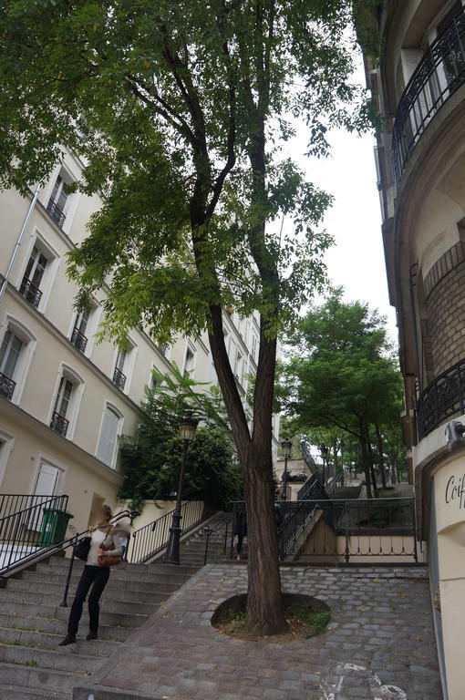 Appartement De Charme à Montmartre *