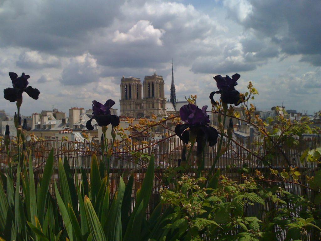 Apartment Notre Dame Flat *