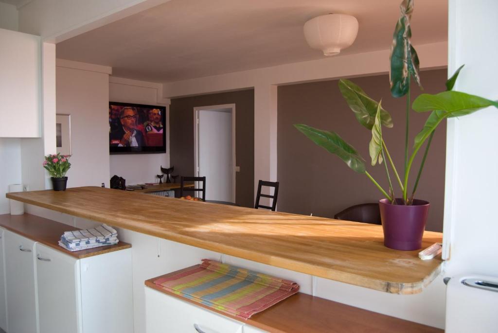 Moderne Et Lumineux Apartment