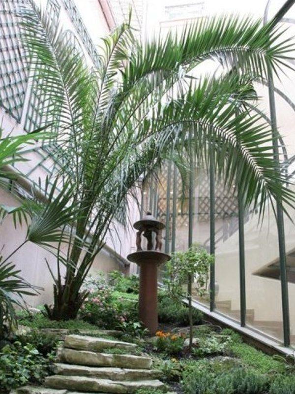 Hotel Moulin Plaza 3*