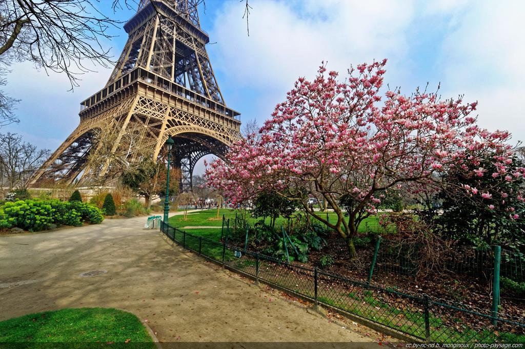 Lovely 1br - Tour Eiffel - Champs De Mars *