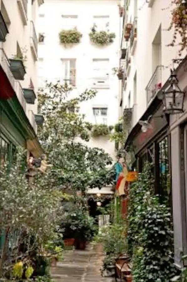 Appartement Saint Martin *