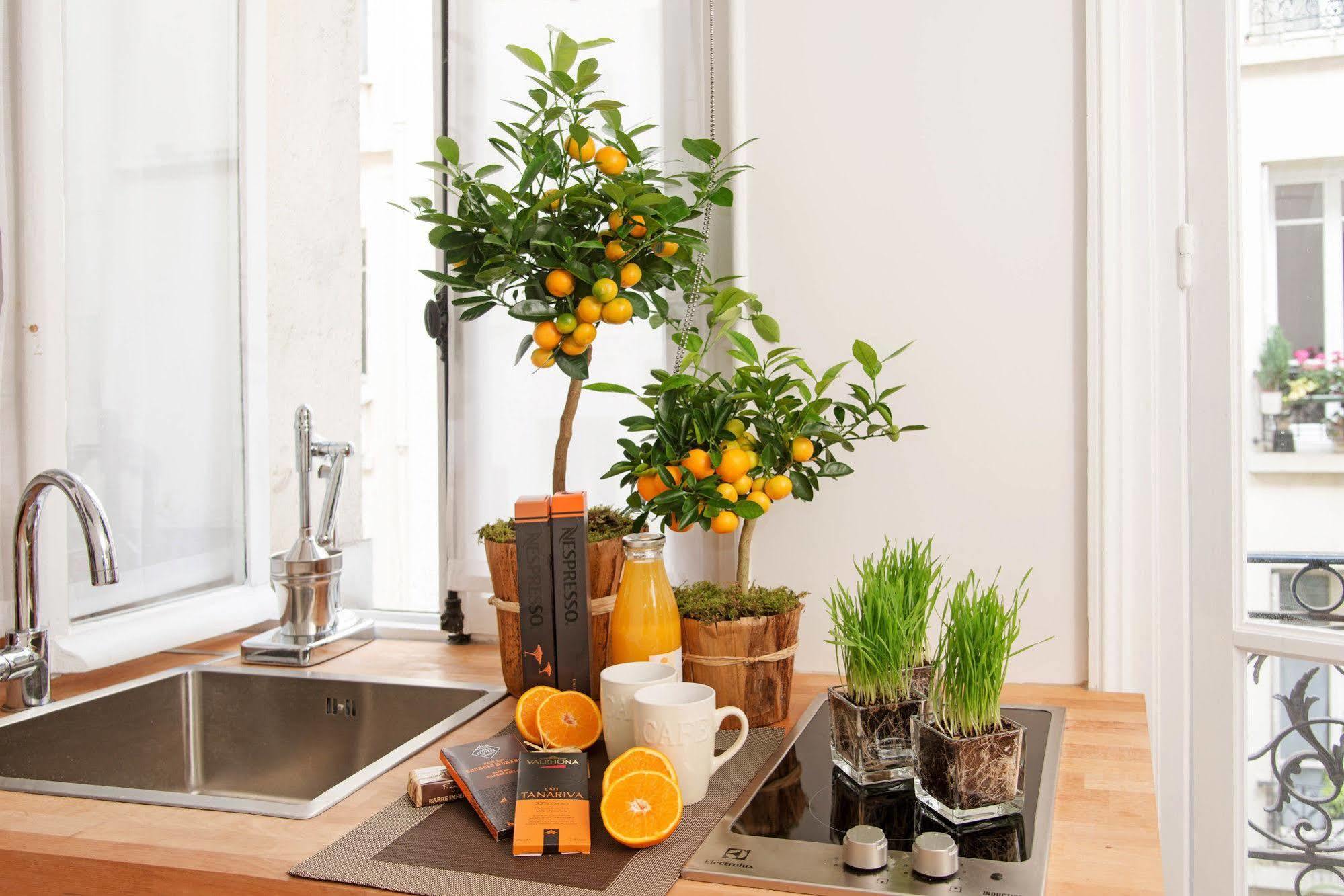 My Nest - Quartier Latin 2* Paris