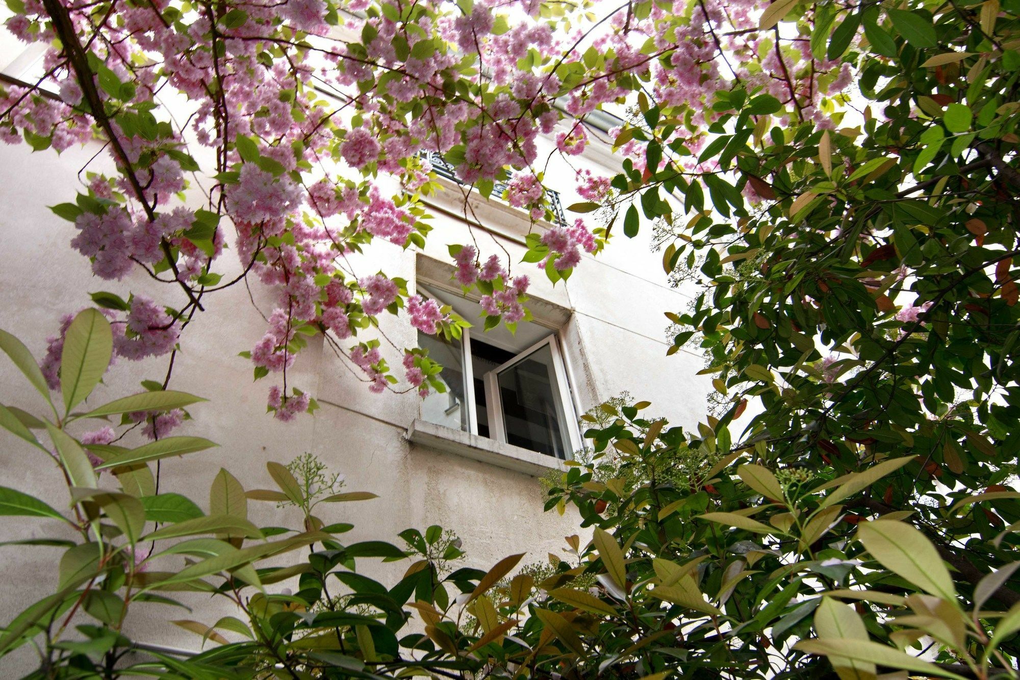 Gasthof My Nest - Mouffetard Paris