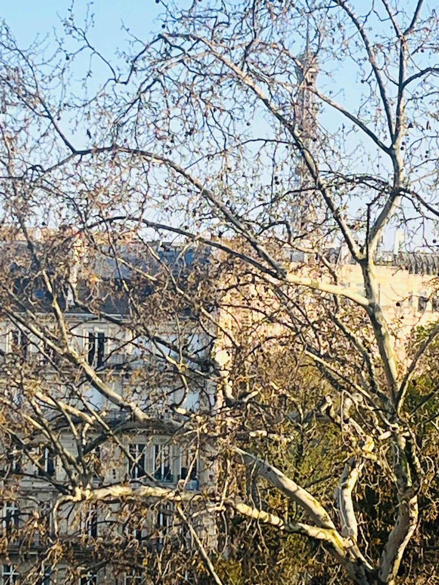 Place Equipe Au Coeur De Avec Vue Sur L'arc De Triomphe Et La Tour Eiffel Privatunterkunft *