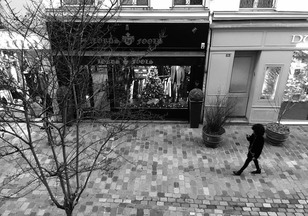 Le Marais Rosiers Apartment *