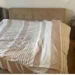 Chambre Calme Et Lumineuse