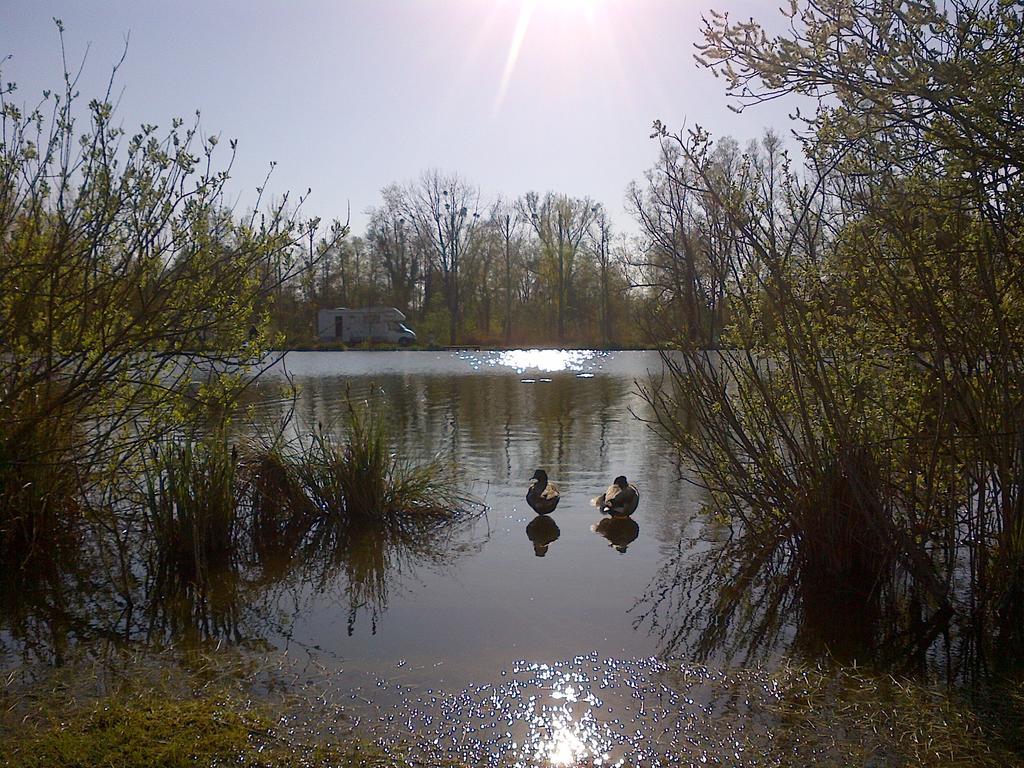 Camping Du Vivier Aux Carpes Campsite *