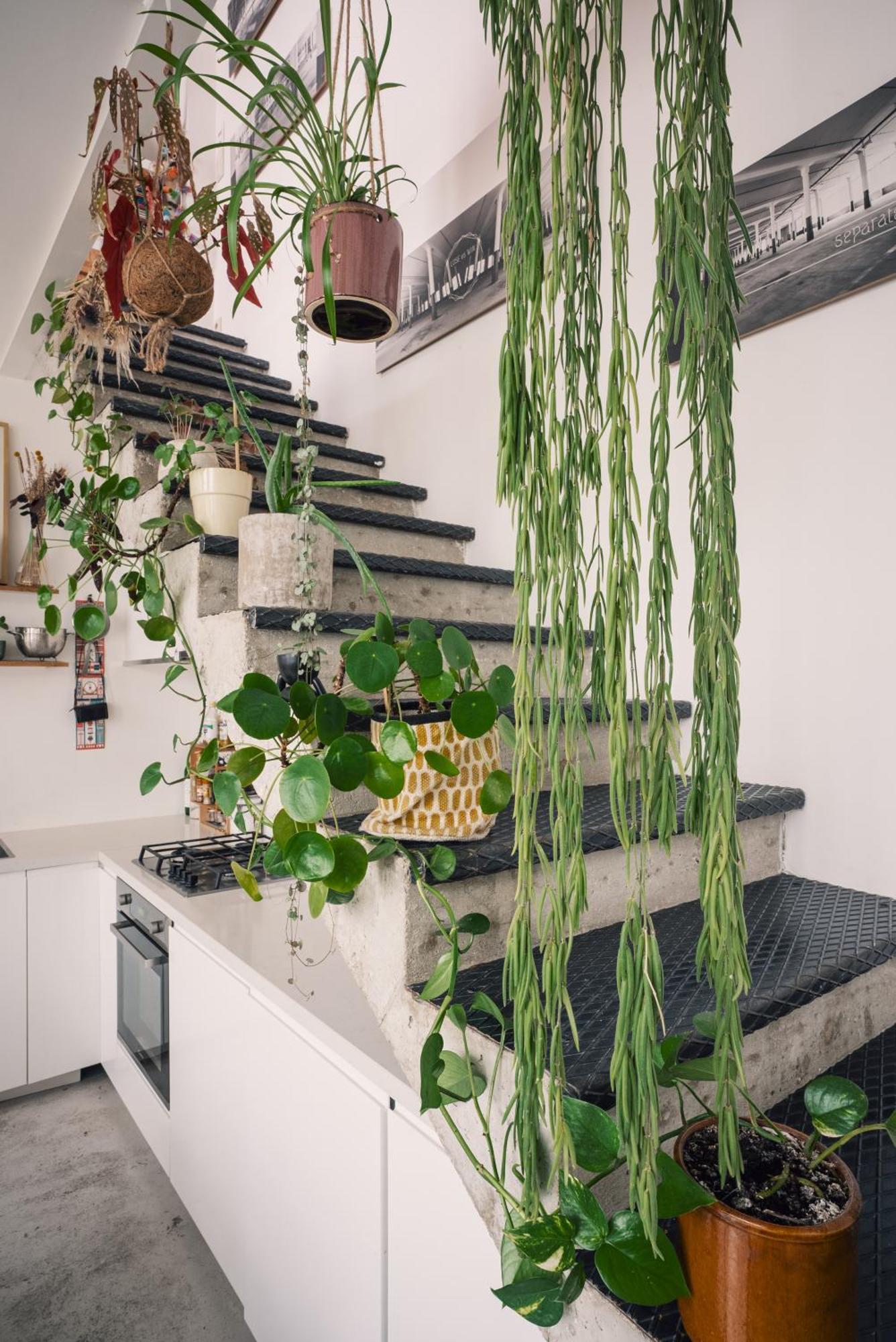 Duplex Sur Cour Arboree Apartment