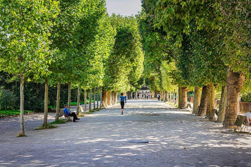 Service - Jardin Des Plantes - 5 - Flat-guest Apartment