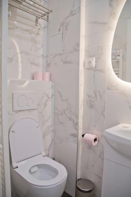 Fully Renovated Historic In Heart Mouffetard Apartment Paris