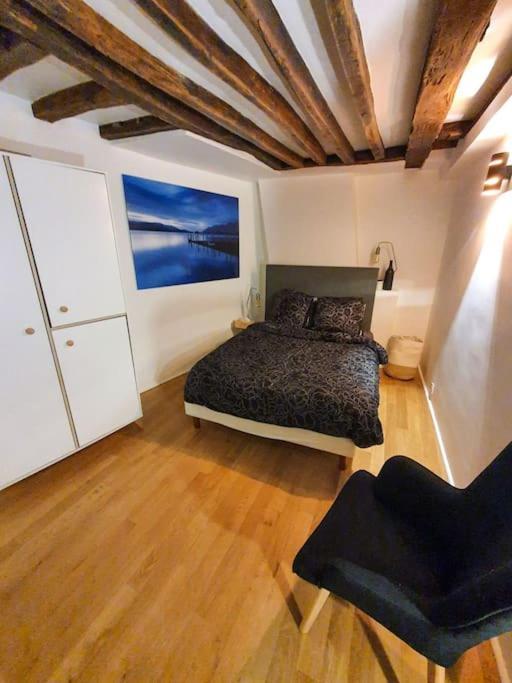Appartement Charme De L'ancien, Refait A Neuf