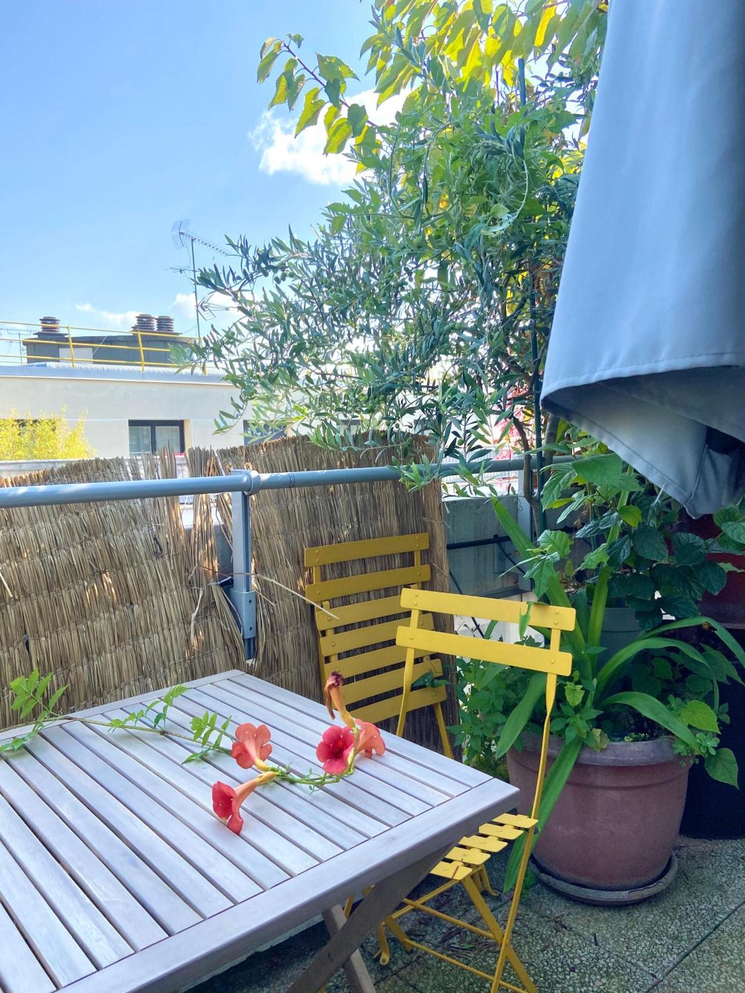 Appartement Avec Terrasse Paris