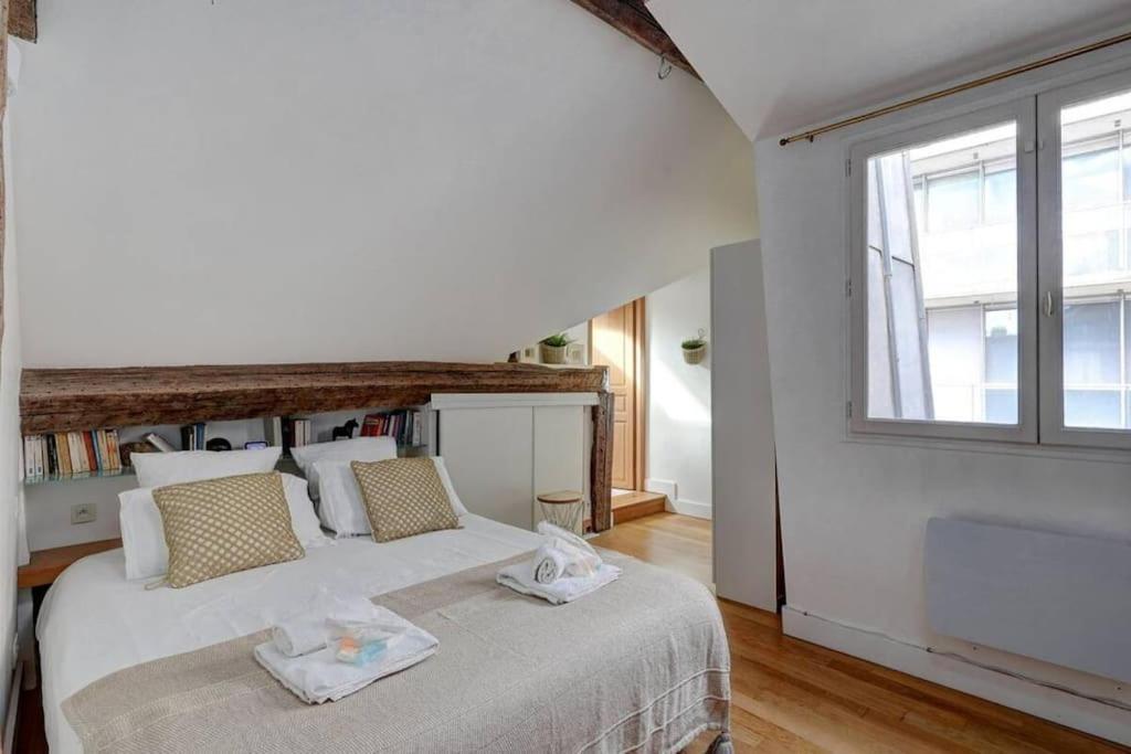 Loft Place Des Vosges Appartement