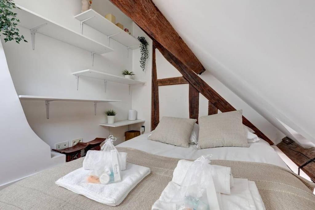 Loft Place Des Vosges Appartement Paris