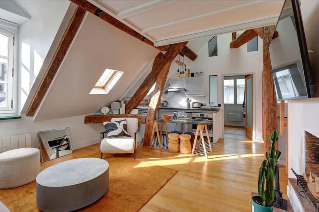 Loft Place Des Vosges Appartement Paris
