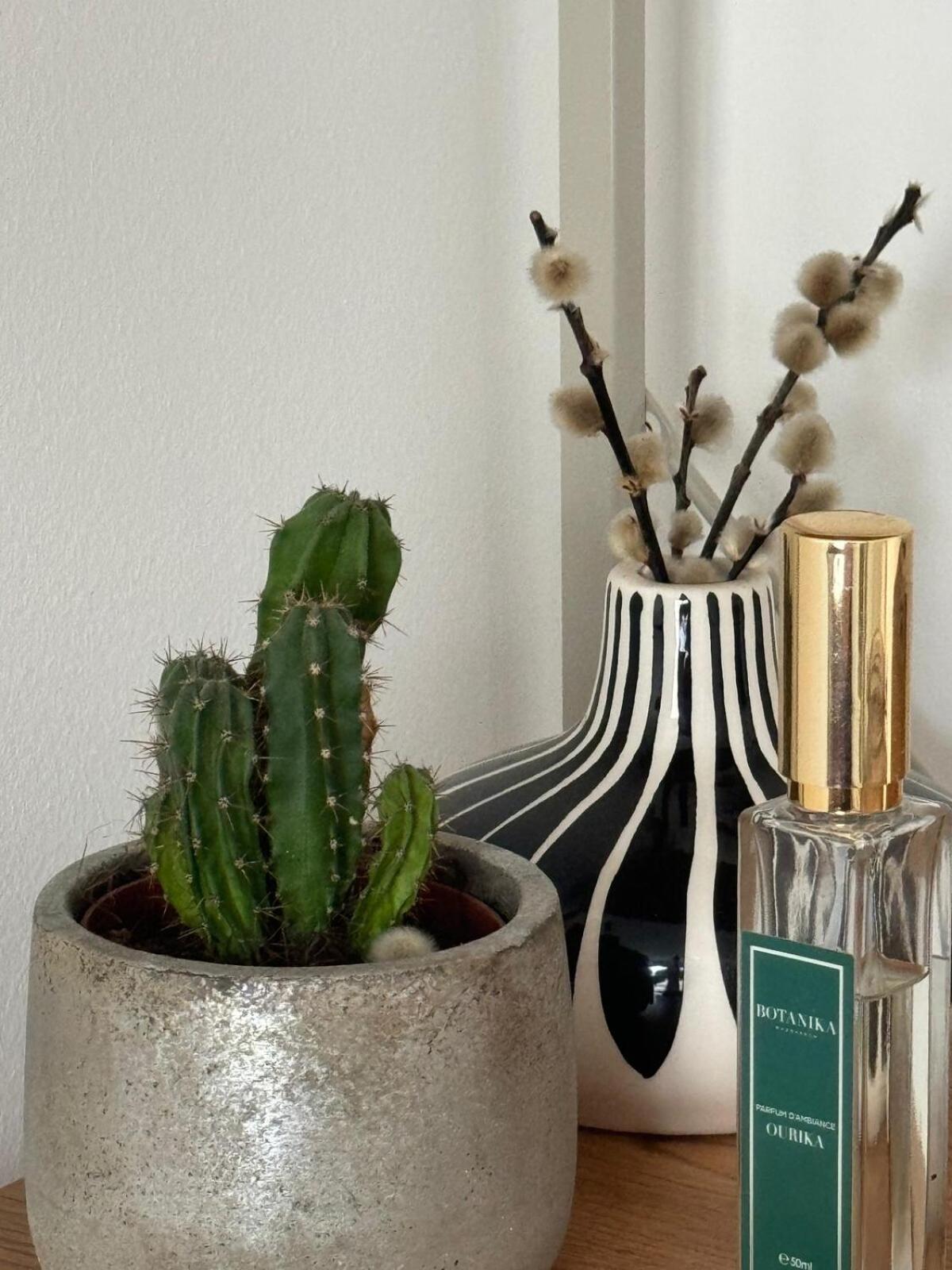 Situe En Plein Coeur De Appartement *