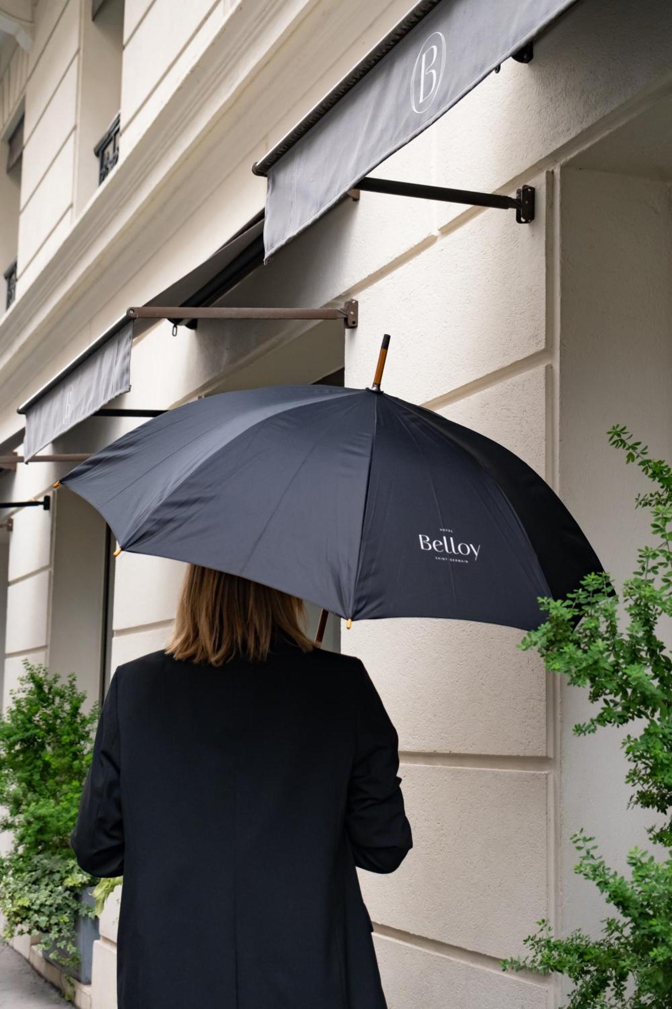 Hotel Belloy Saint Germain Paris