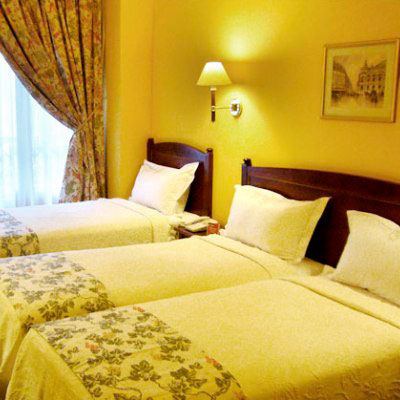 Hotel Le Regence 3*